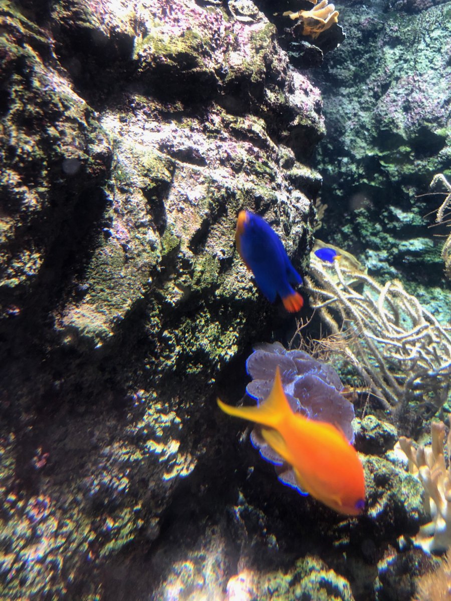 IMG_1629.jpeg