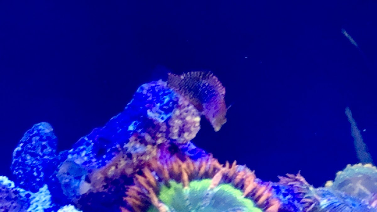 IMG_1629.jpeg