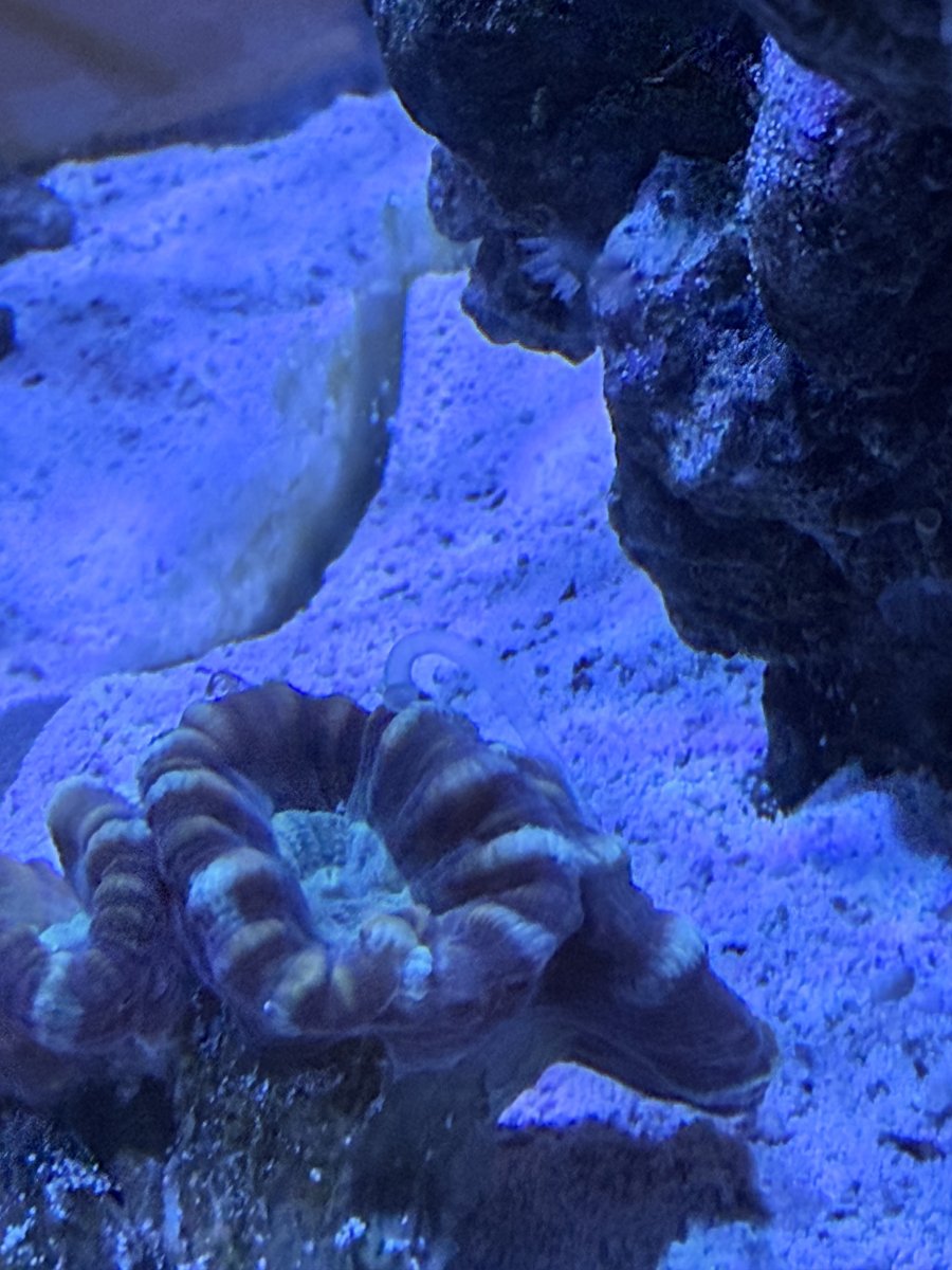 IMG_1629.jpeg