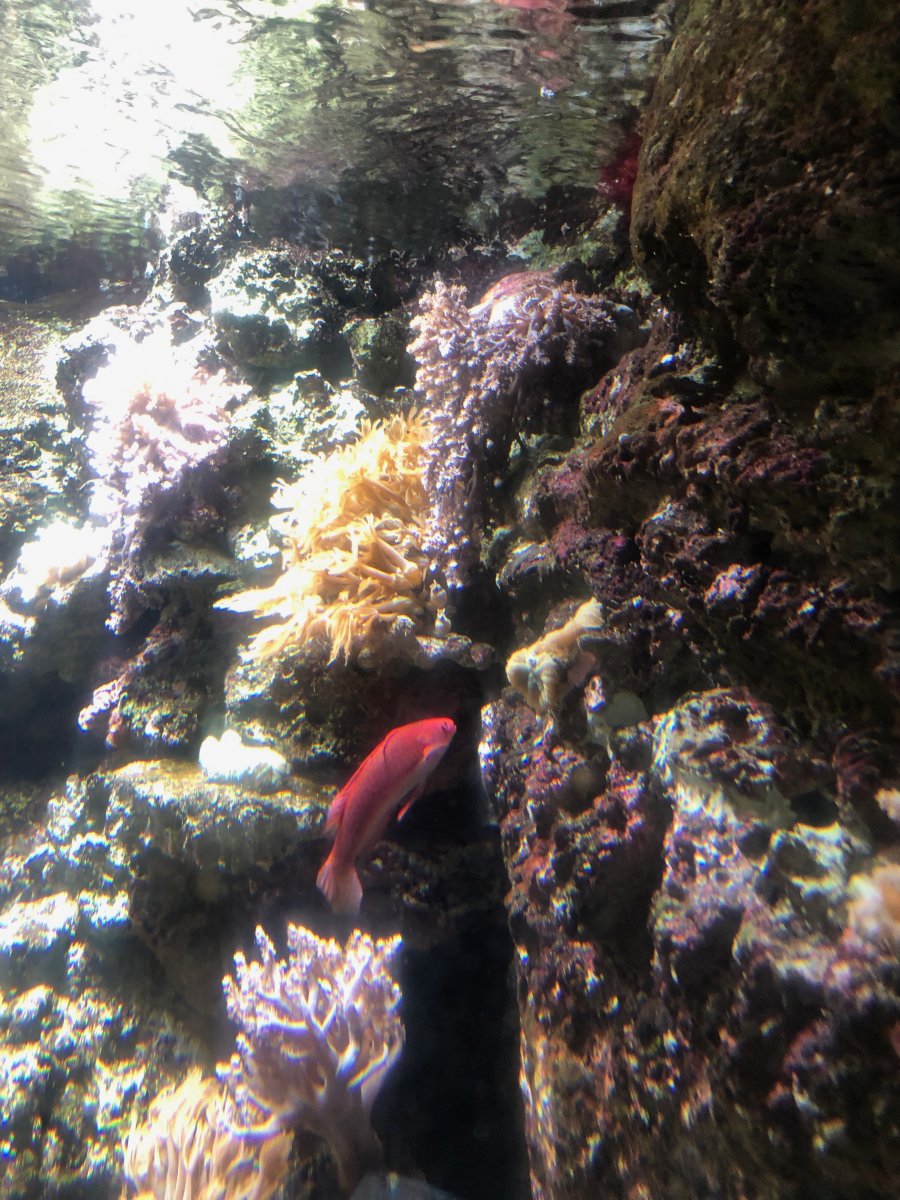 IMG_1632.jpeg