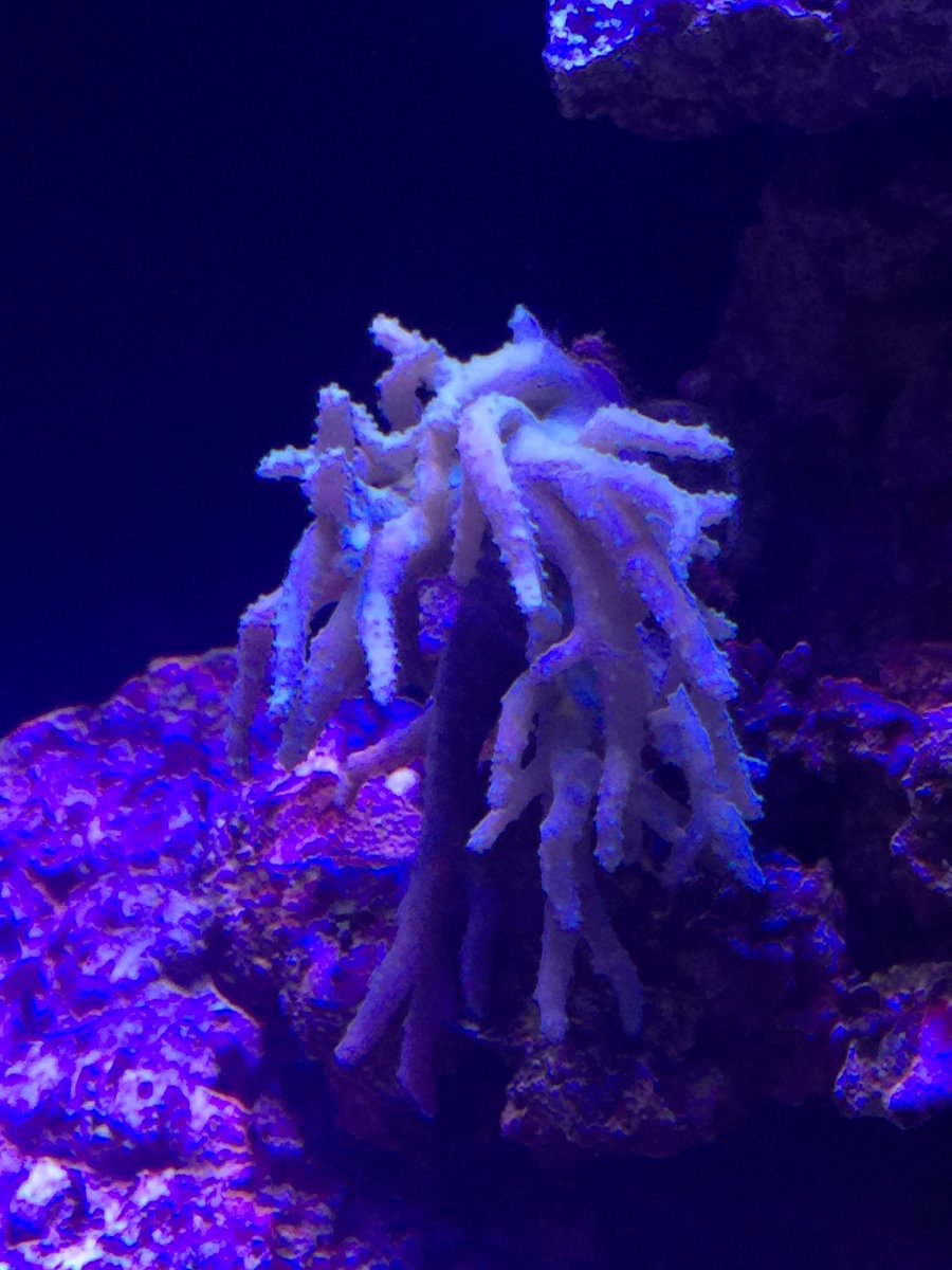 IMG_1633.JPG