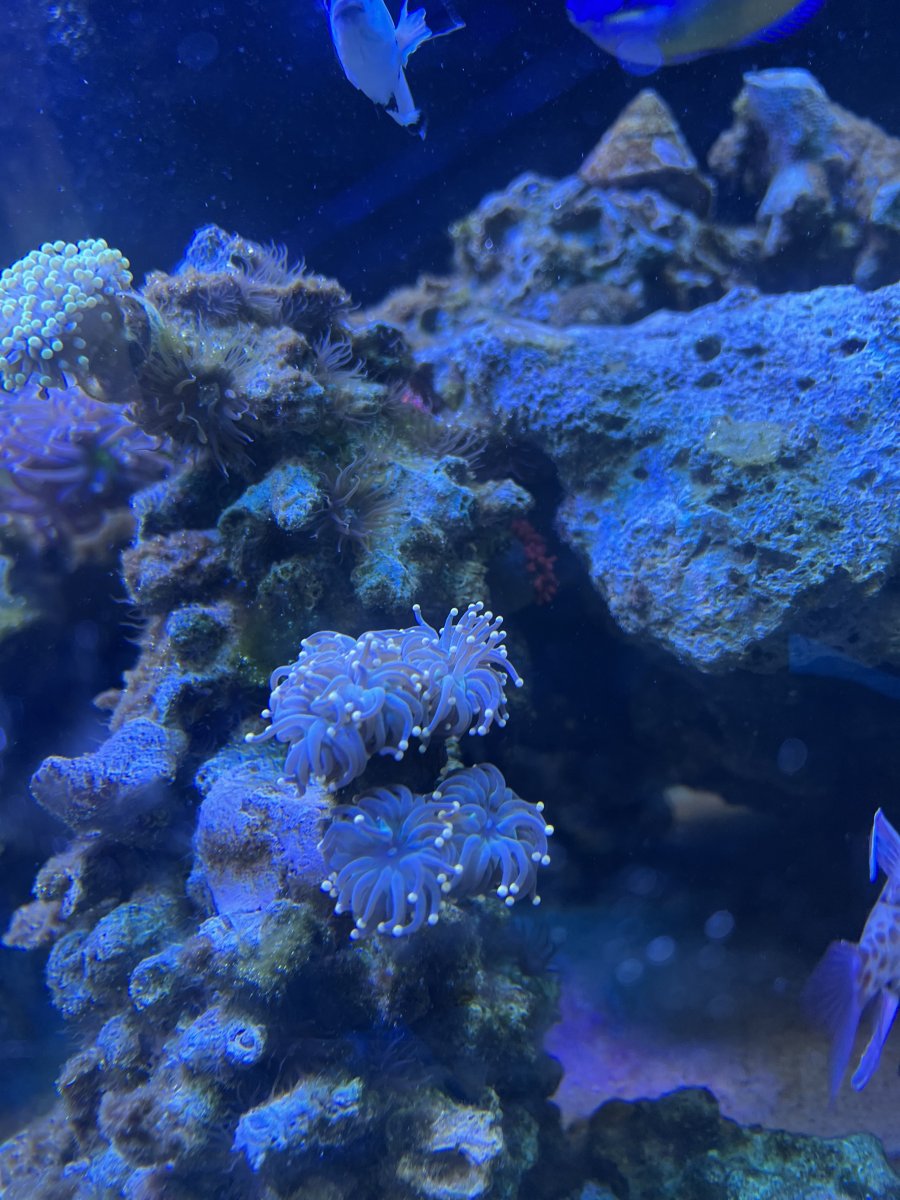 IMG_1636.jpeg