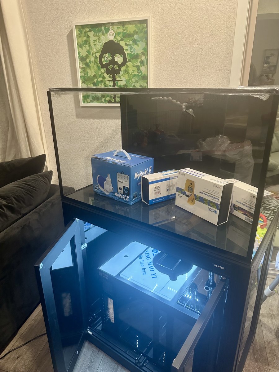 IMG_1639.jpeg