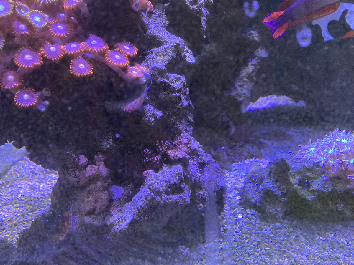 IMG_1648.jpeg
