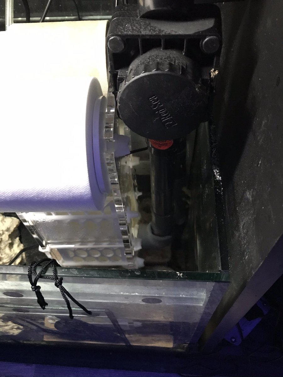 Build Thread - Paul's Red Sea Reefer 425xl Build | Page 4 | Reef2Reef
