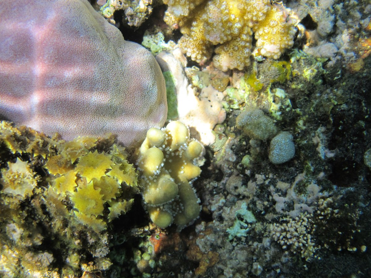 IMG_1663.JPG