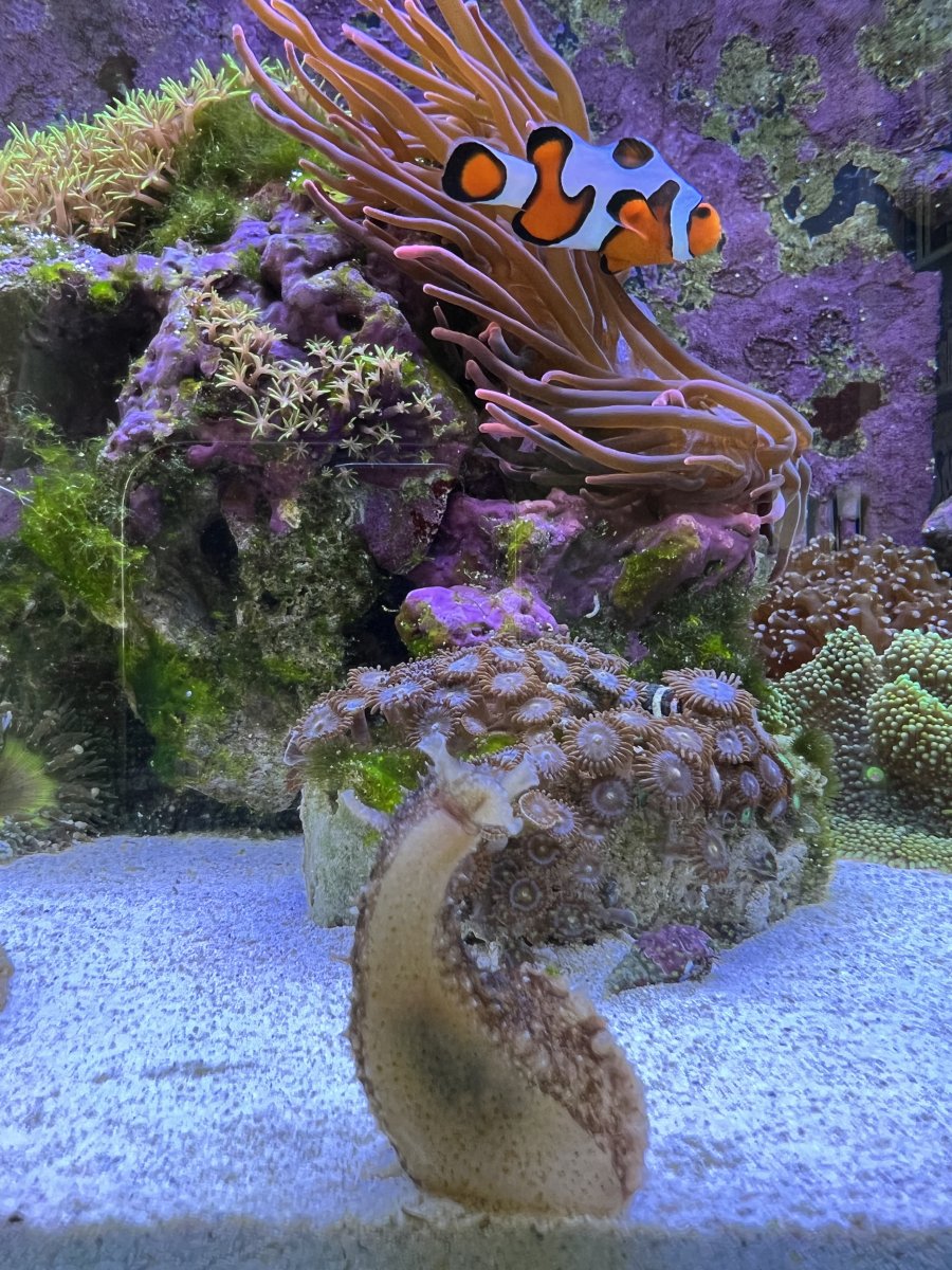 IMG_1667.jpeg