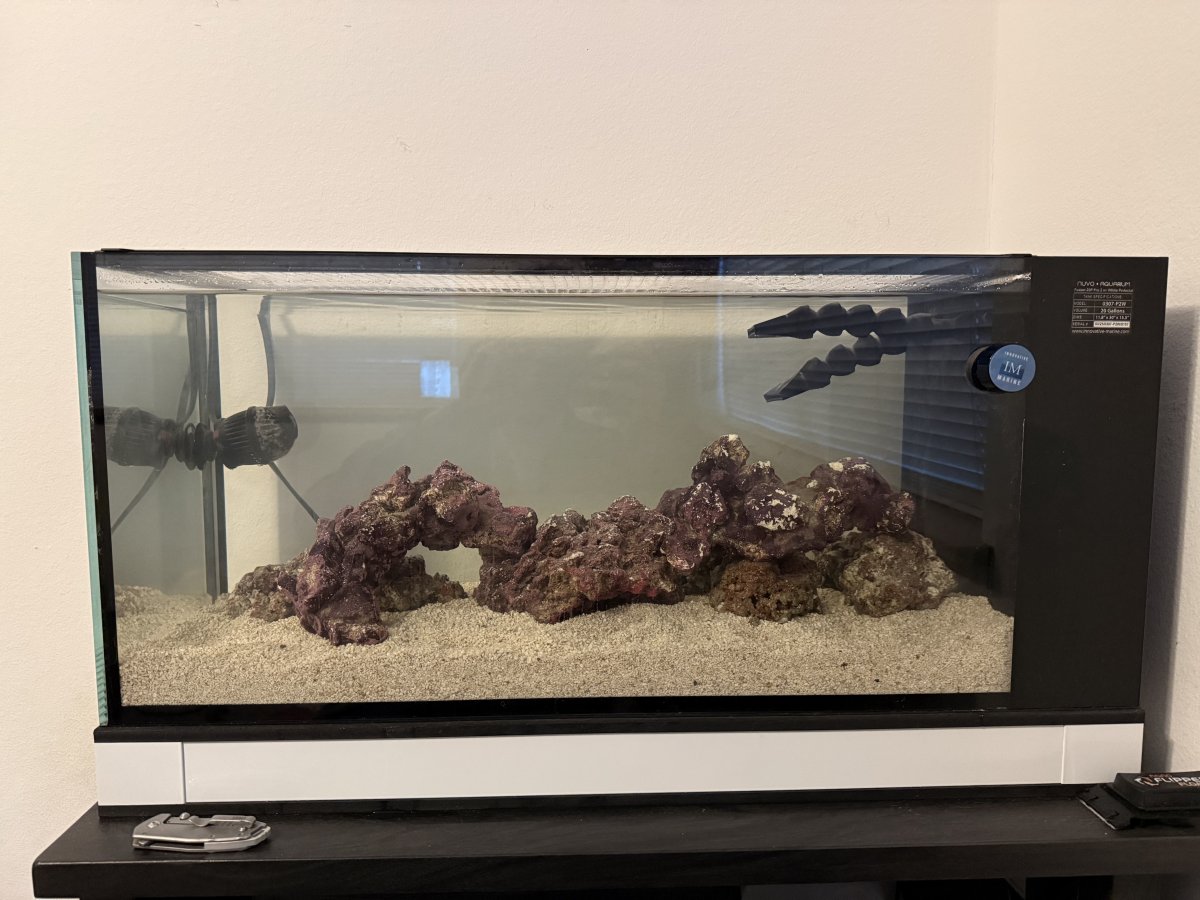 Too much rock? | Reef2Reef