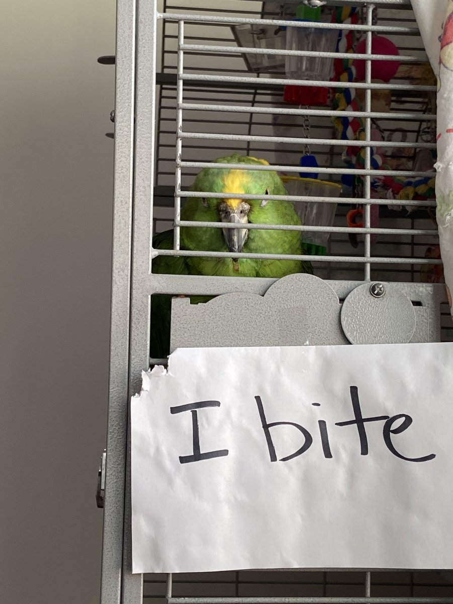 IMG_1669.jpeg