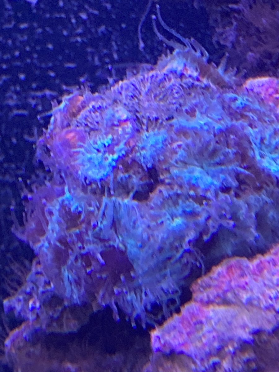 IMG_1674.jpeg