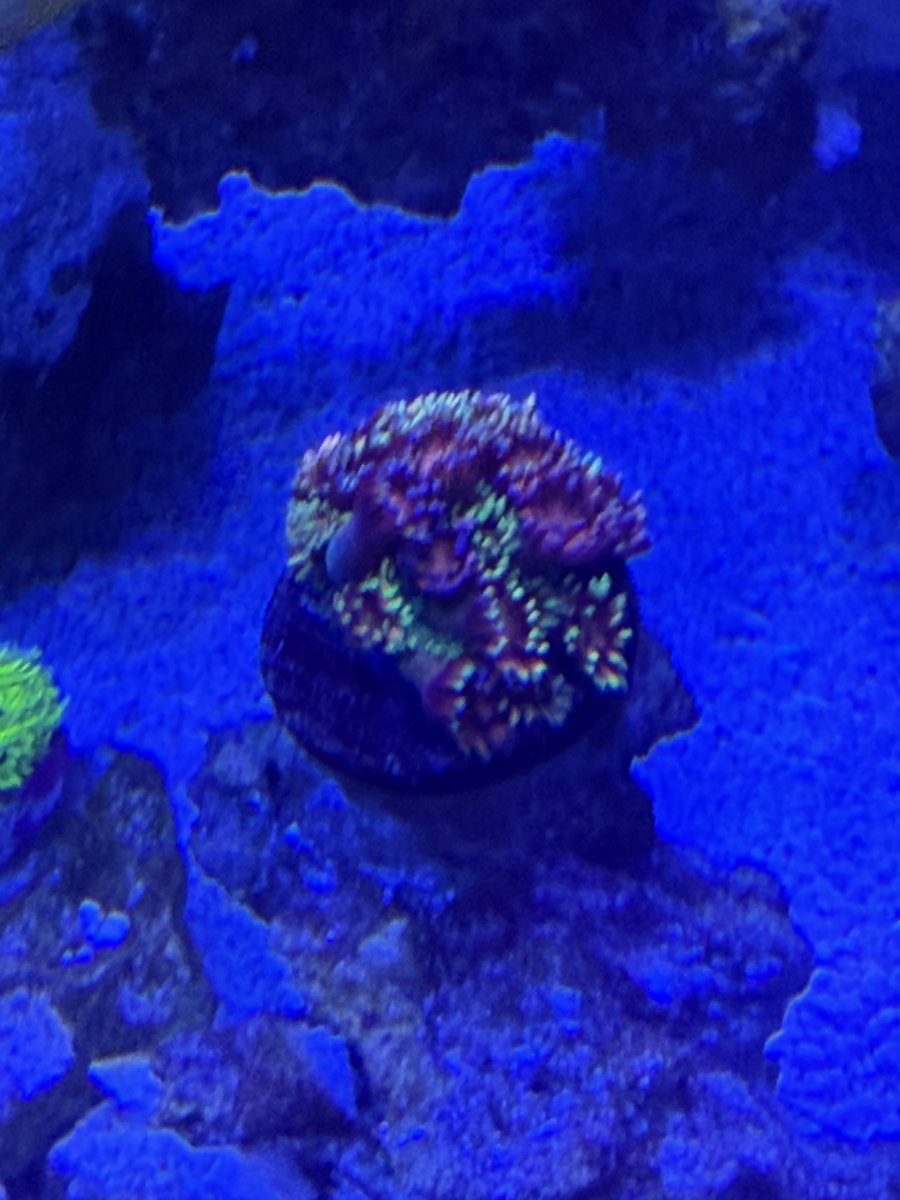 IMG_1678.jpeg