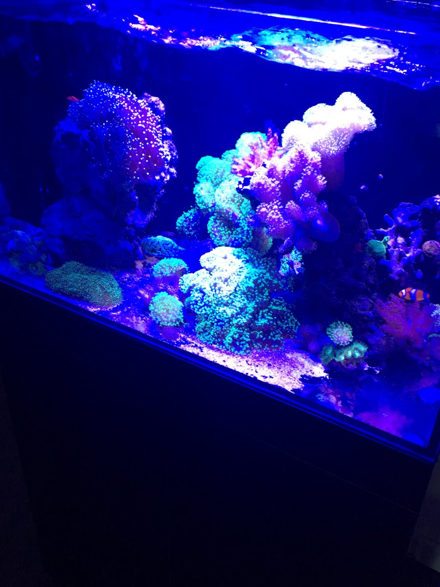 IMG_1682.jpeg