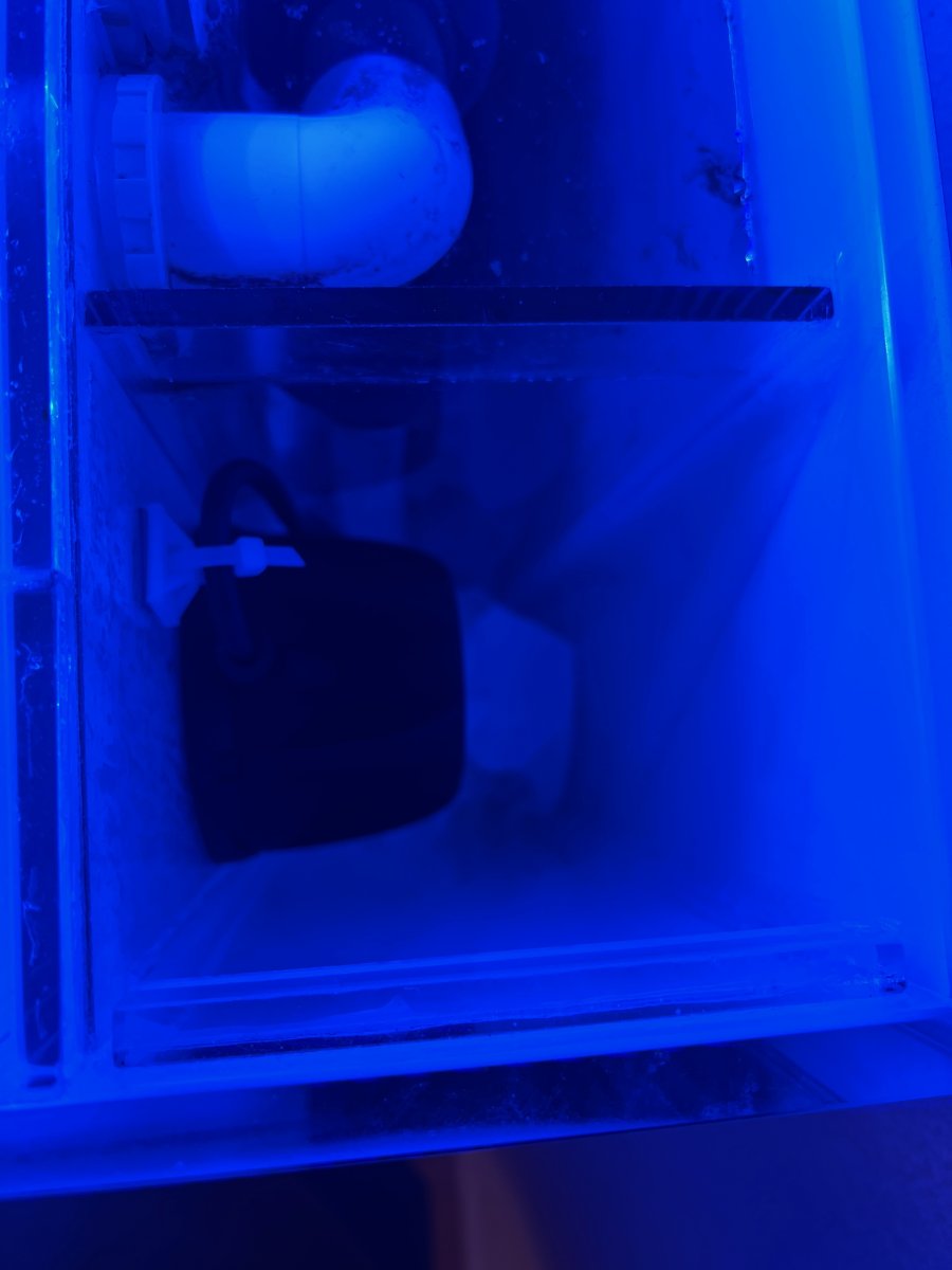 IMG_1689.jpeg