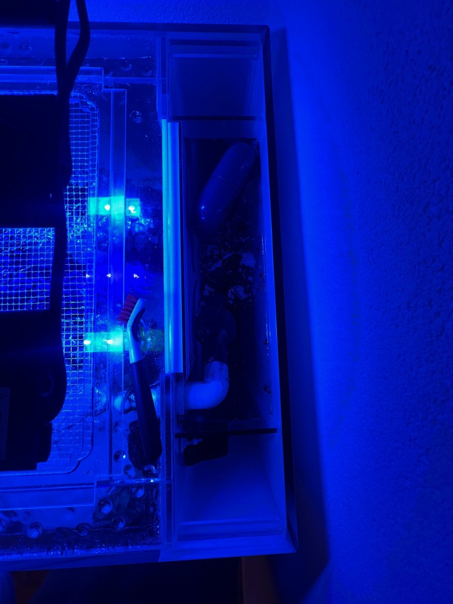 IMG_1690.jpeg