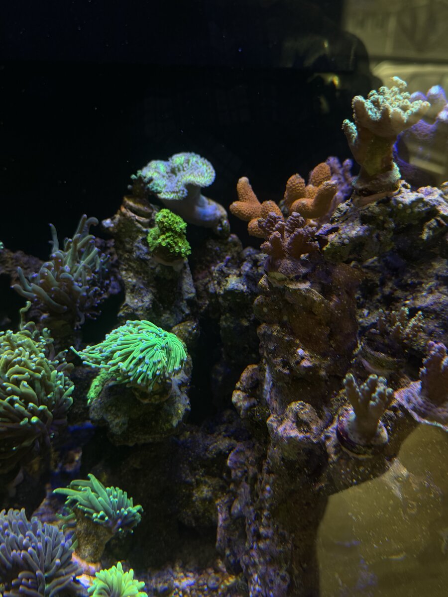 IMG_1698.jpeg