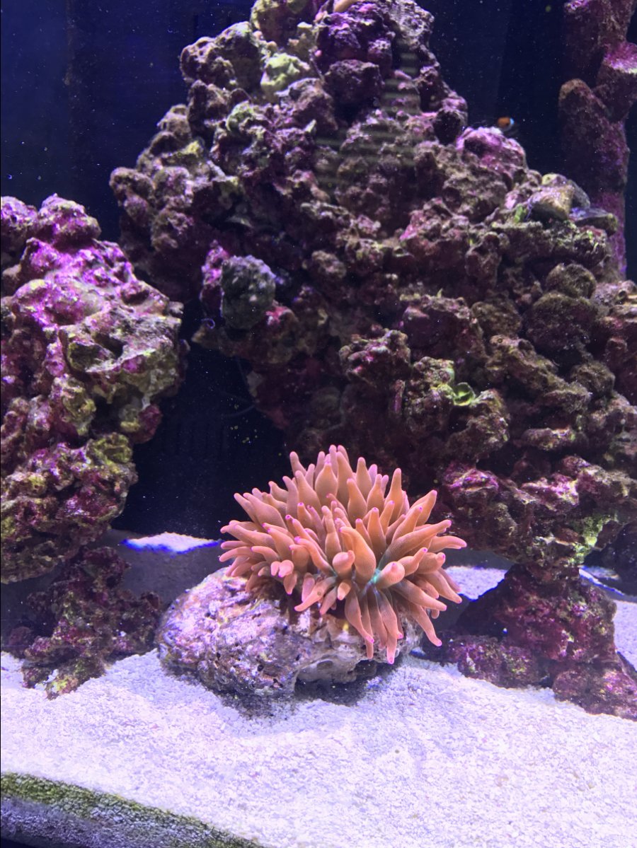 IMG_1702.JPG