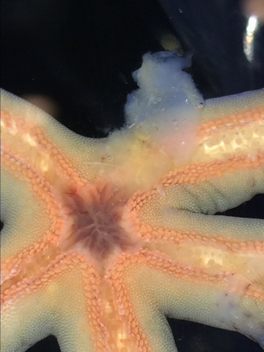 IMG_1706.JPG