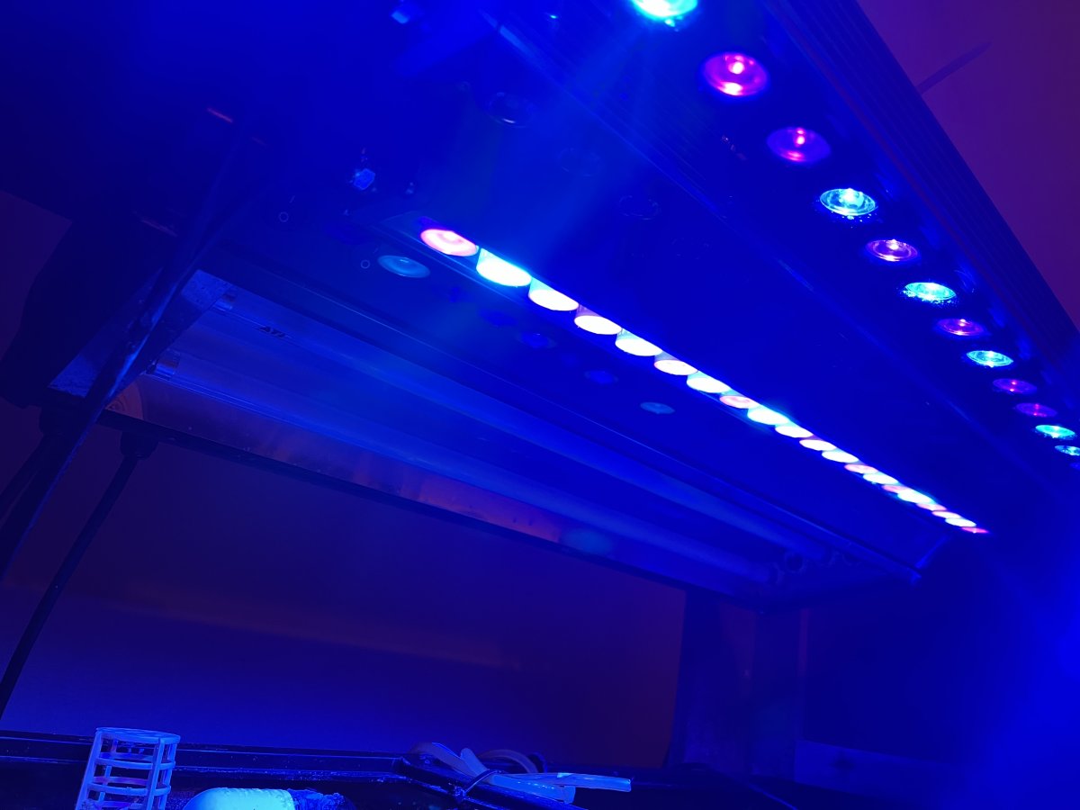 T5 led bar hotsell