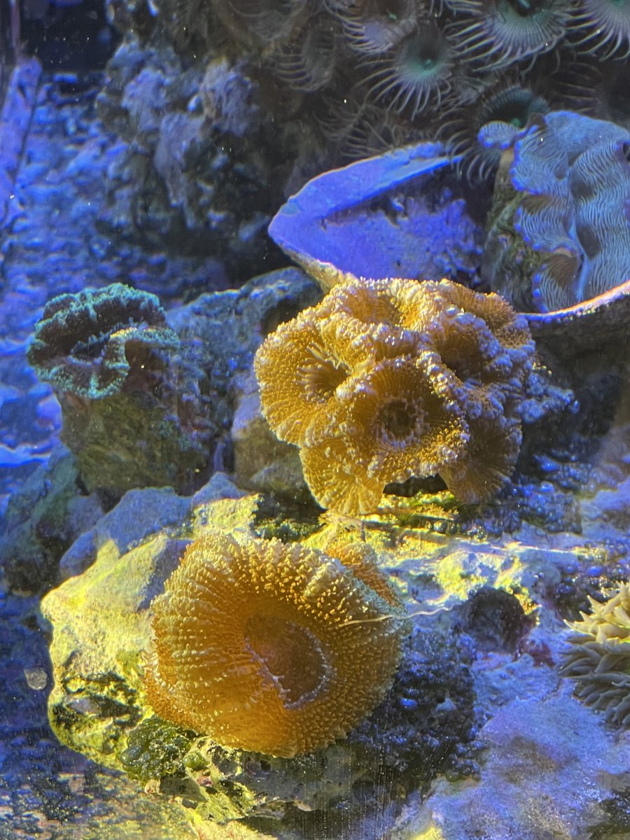 IMG_1724.jpeg