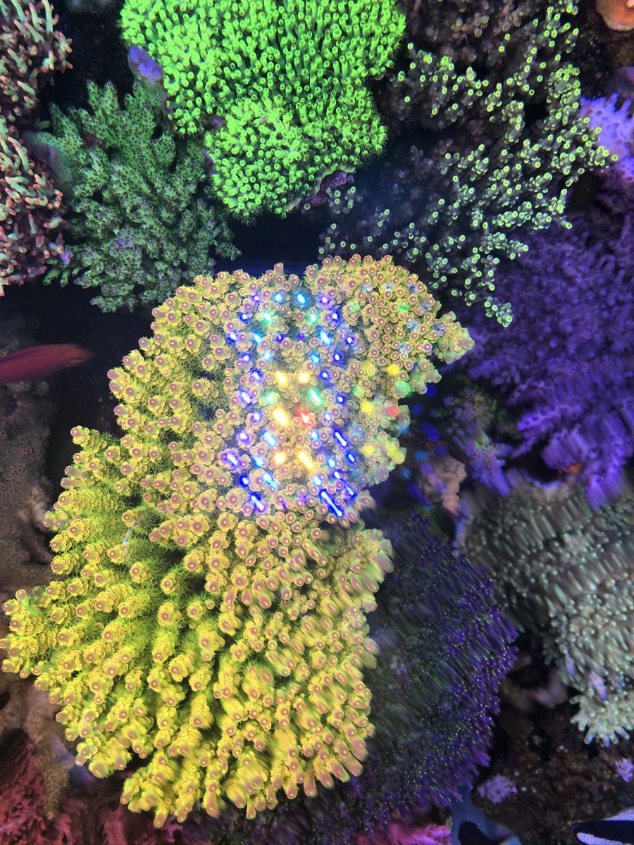 IMG_1743.jpeg