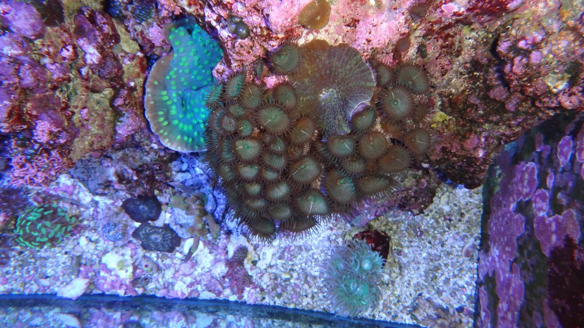 IMG_1759.JPG