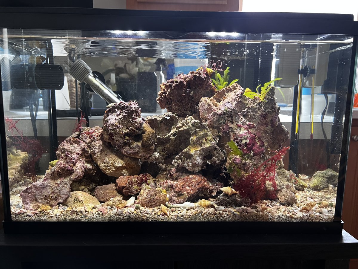 Live sand for freshwater aquarium hot sale