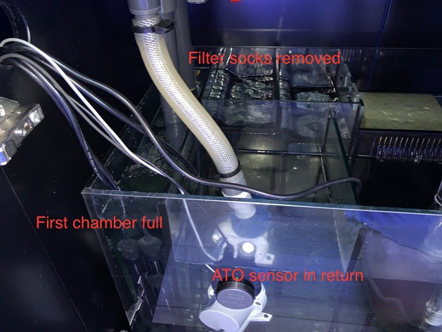 IMG_1774.jpeg