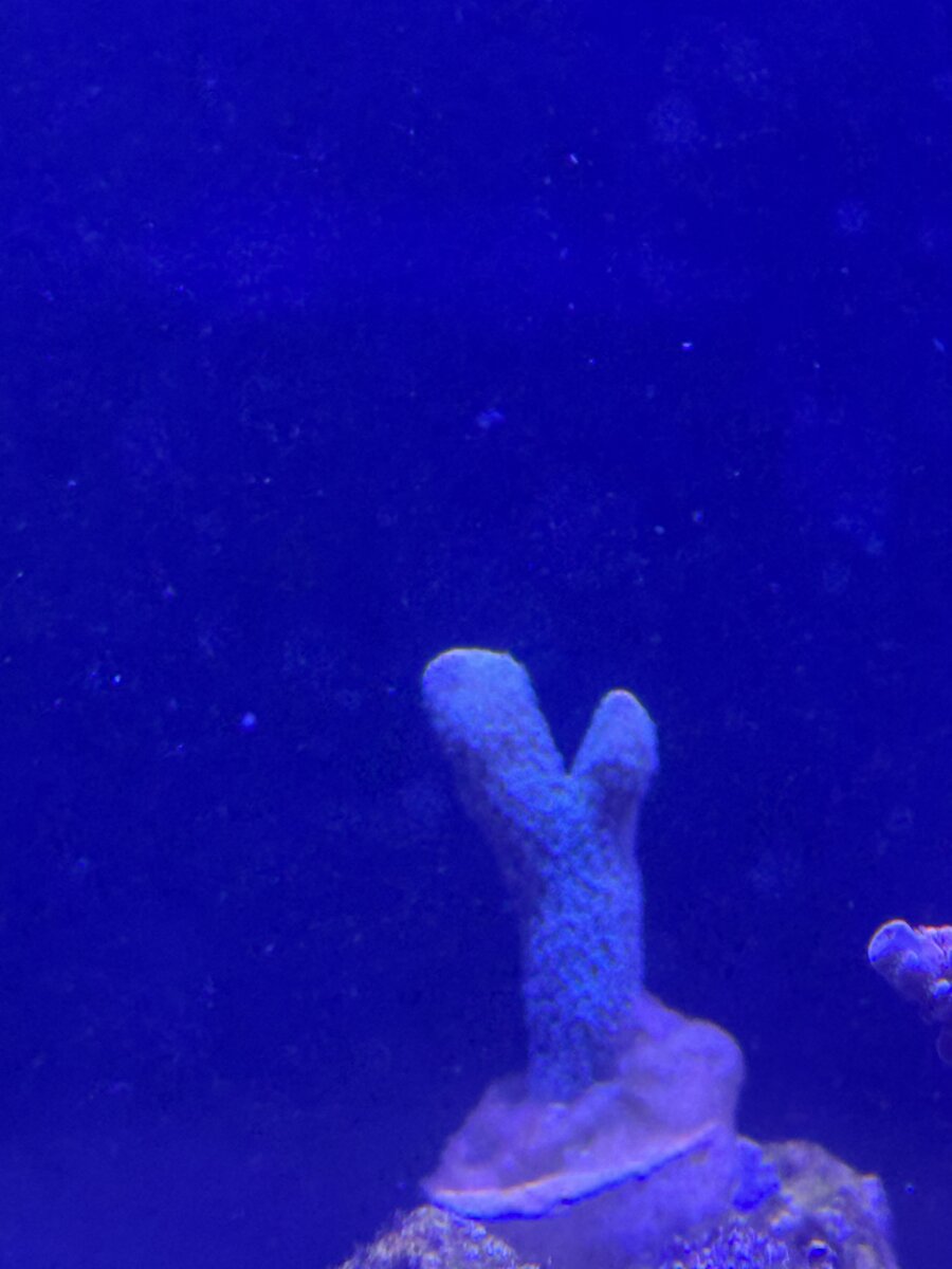 IMG_1774.jpeg