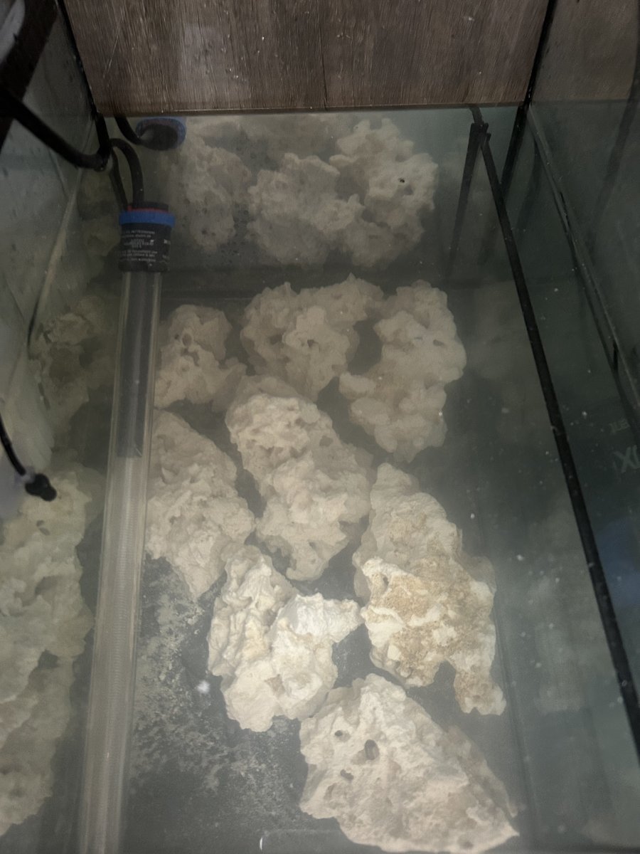 Build Thread - First Tank Build - Learning and (Hopefully) Thriving ...