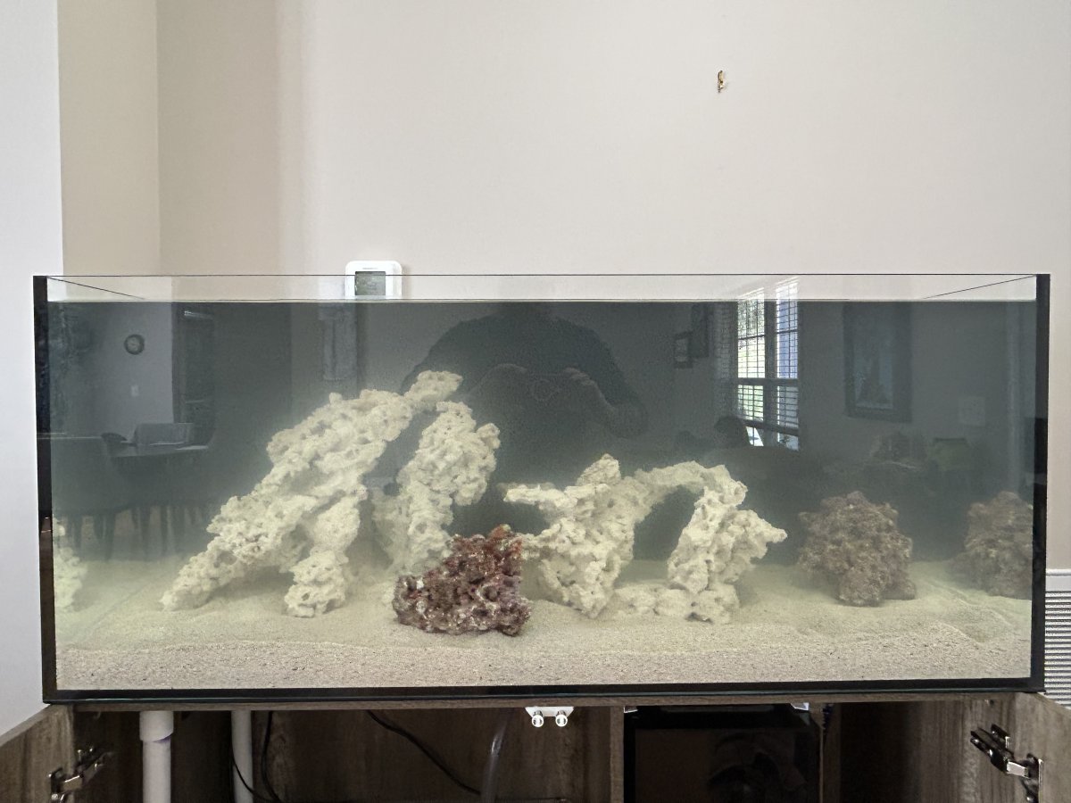 Build Thread - First Tank Build - Learning and (Hopefully) Thriving ...