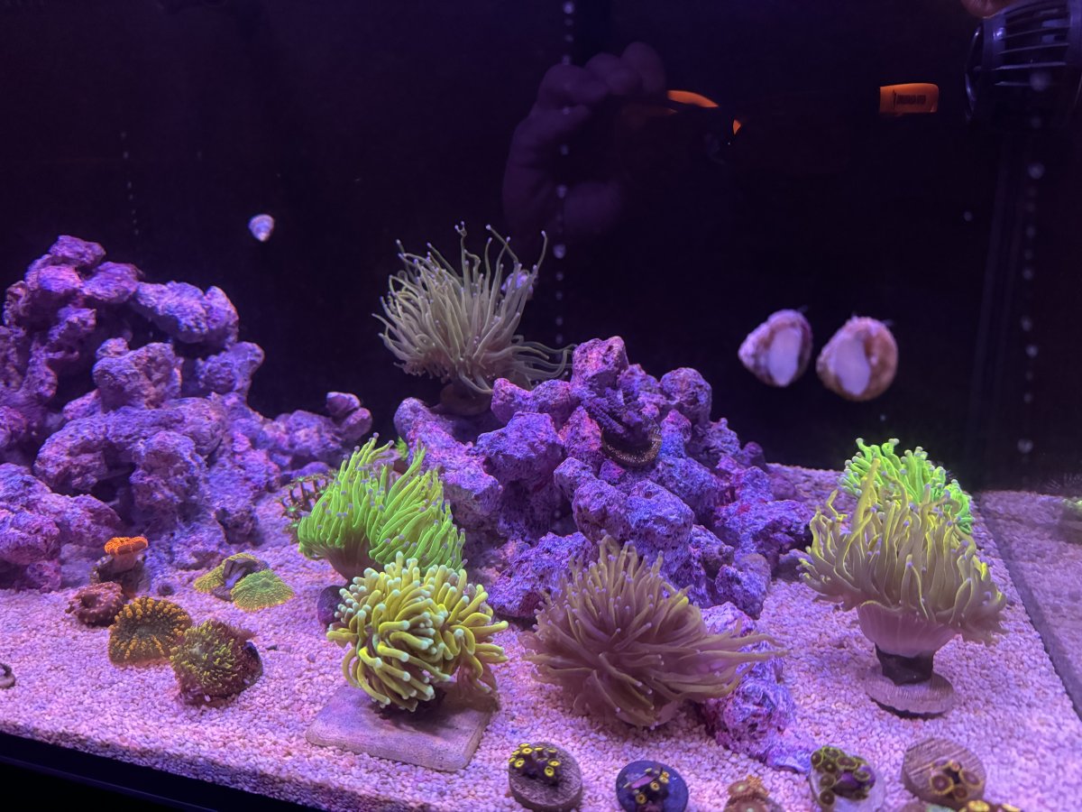 IMG_1800.jpeg