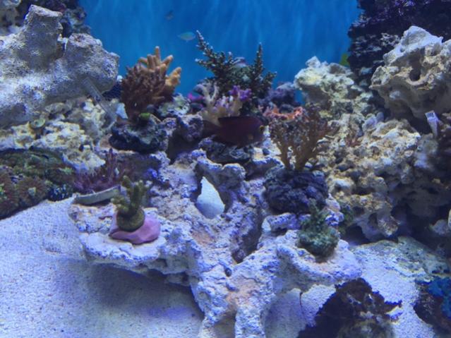 IMG_1802.jpg