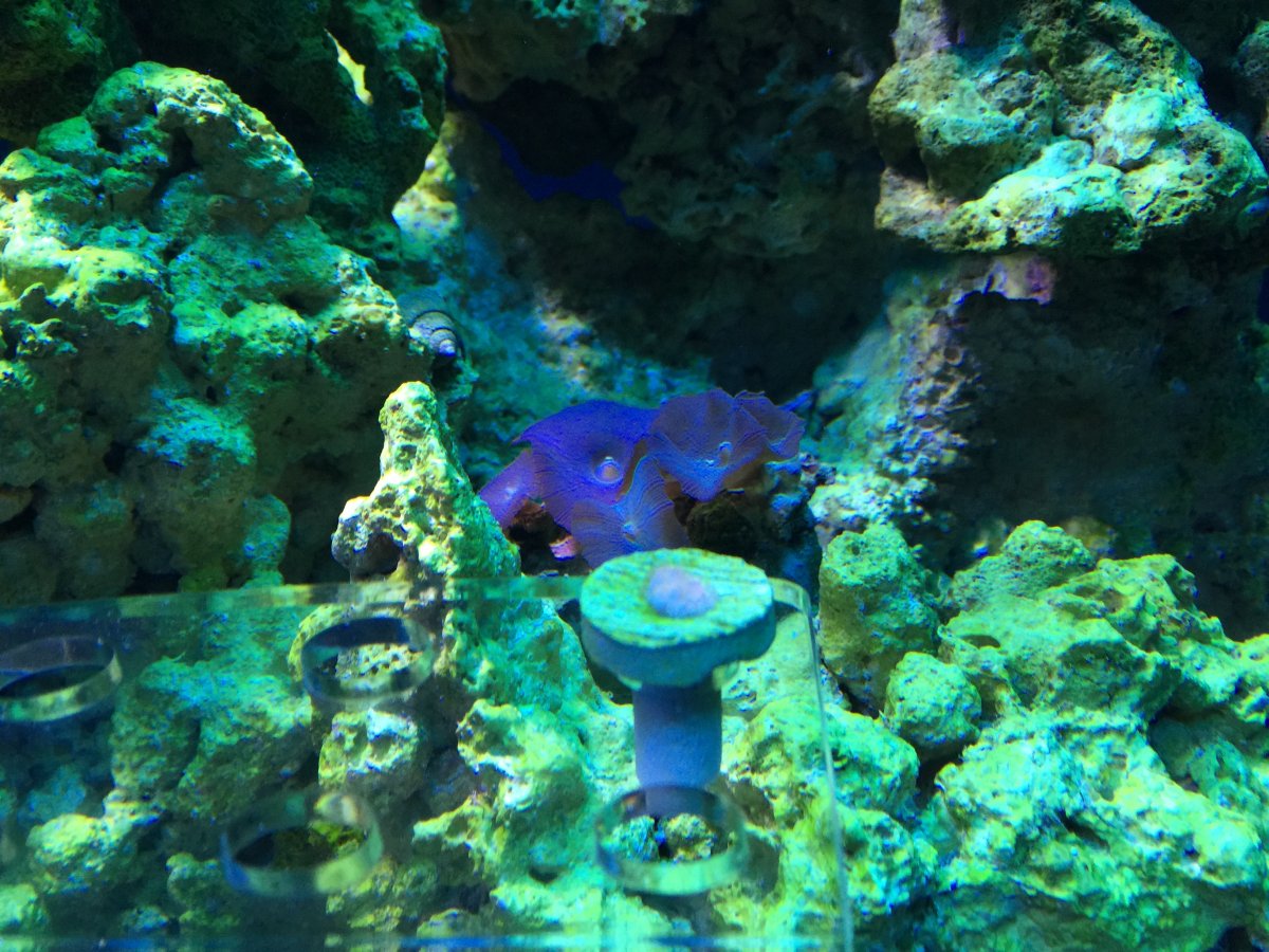 IMG_1802.JPG