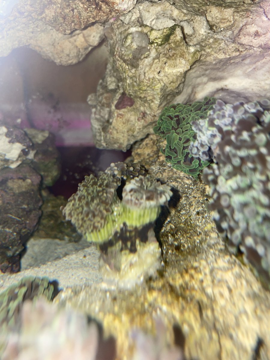 IMG_1810.jpeg