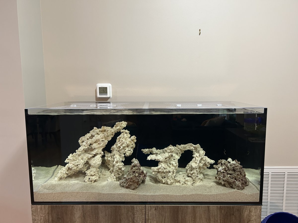 IMG_1837.jpeg
