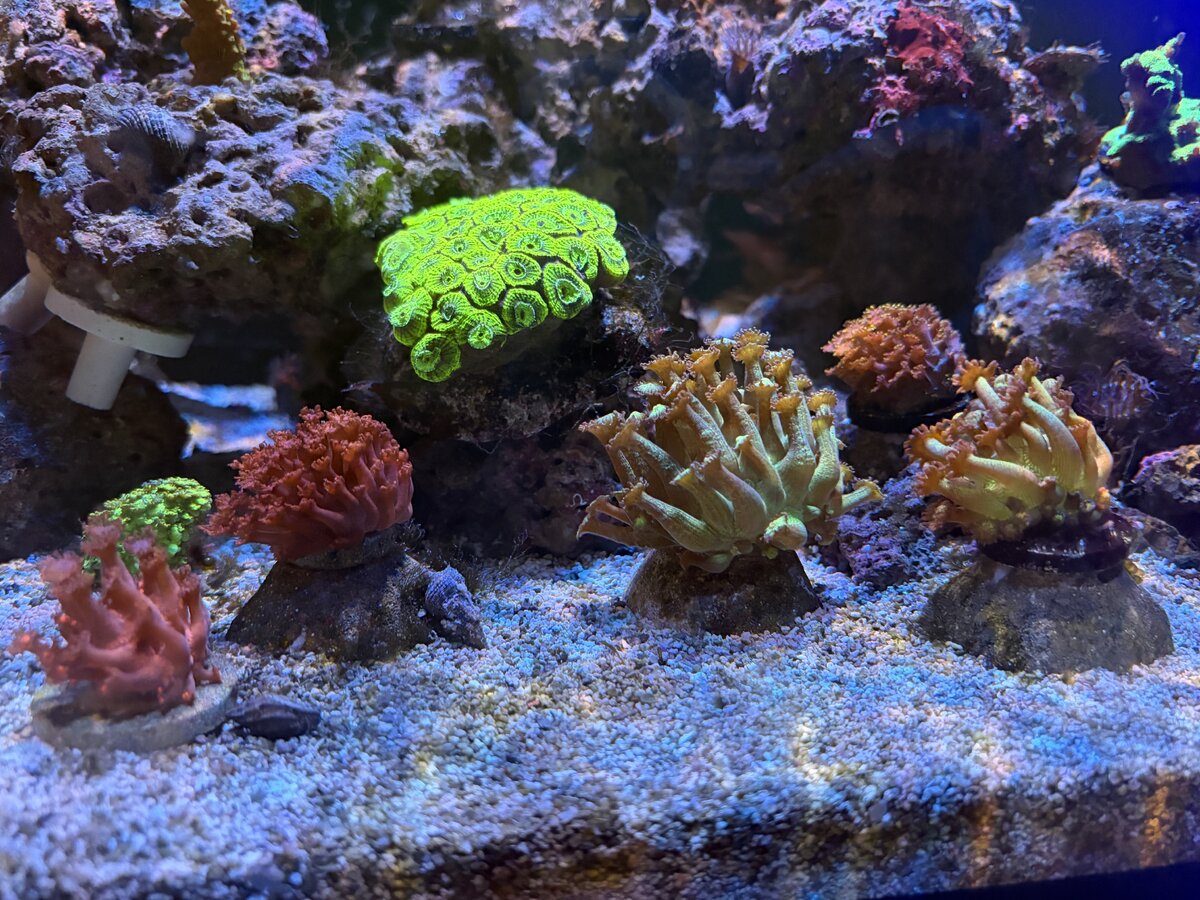 IMG_1843.jpeg