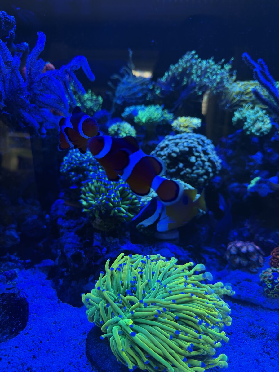 IMG_1849.jpeg