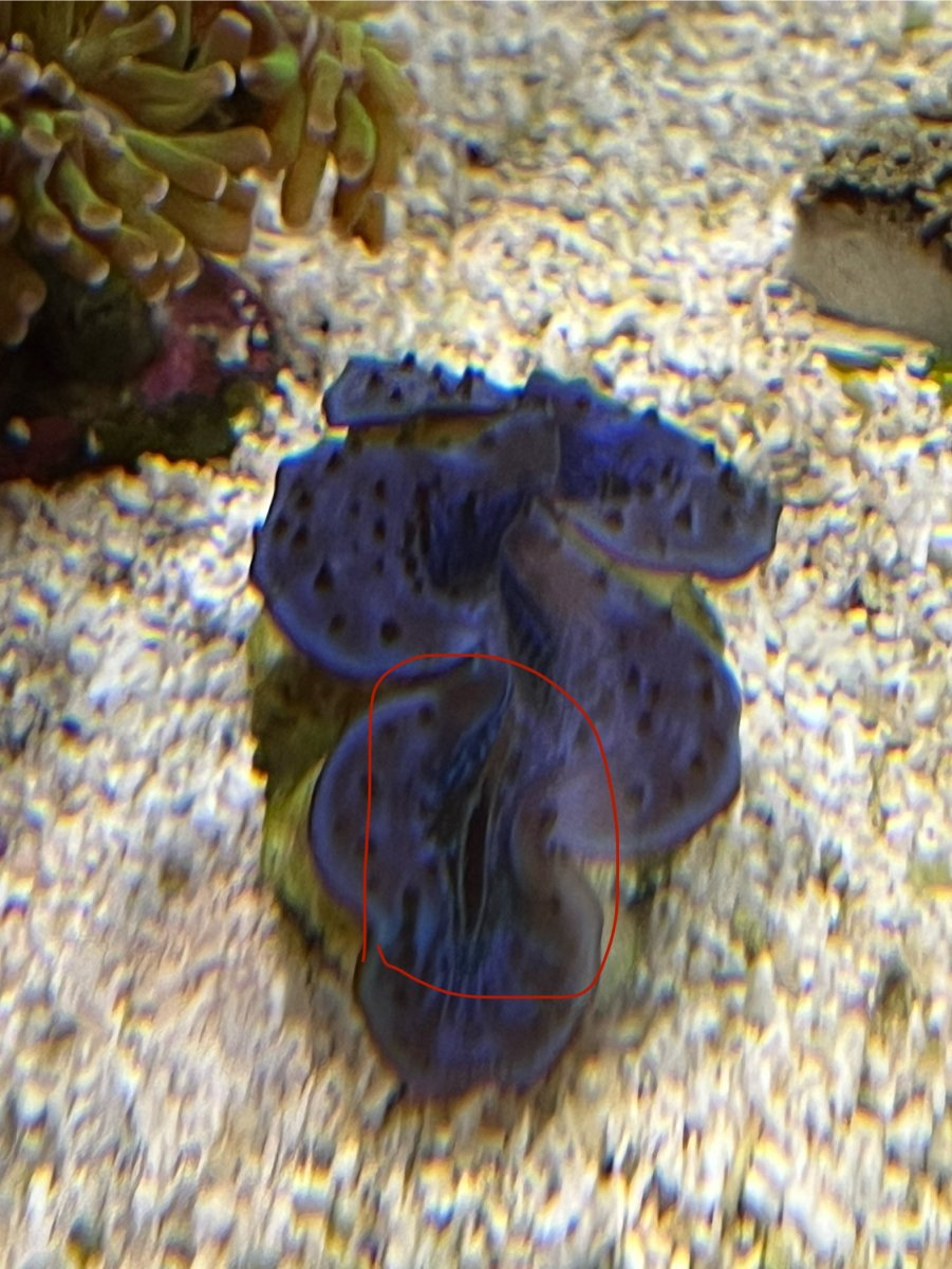 IMG_1850.jpeg