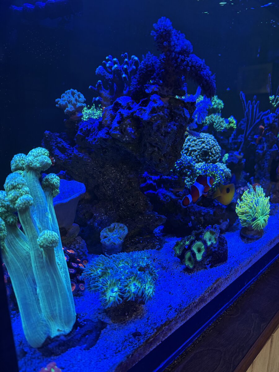 IMG_1850.jpeg