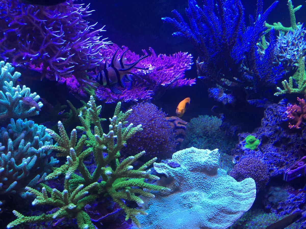 IMG_1851.JPG