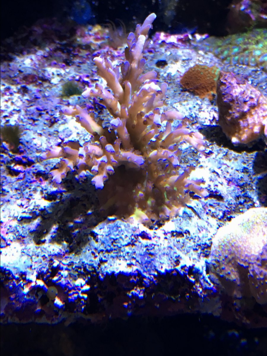 IMG_1857.JPG