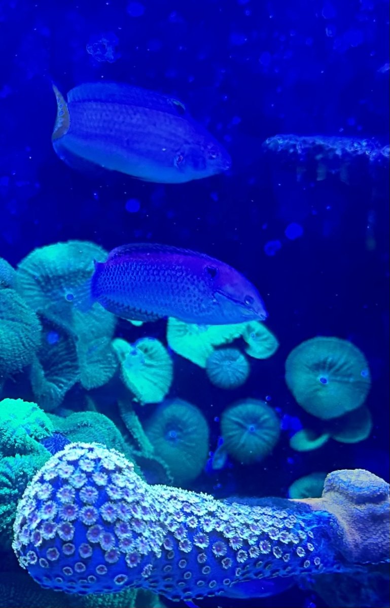 IMG_1861.jpeg