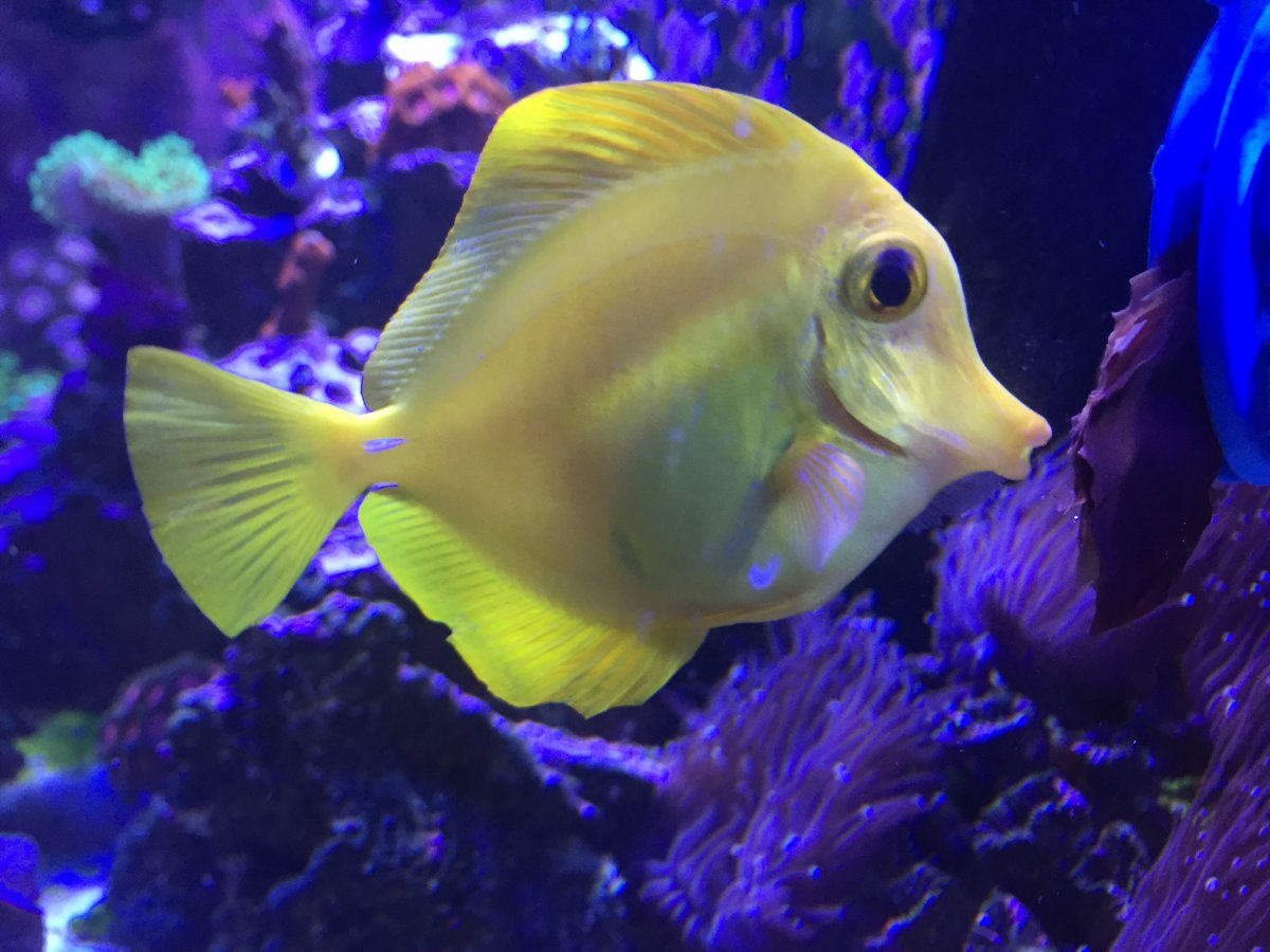 IMG_1863.JPG