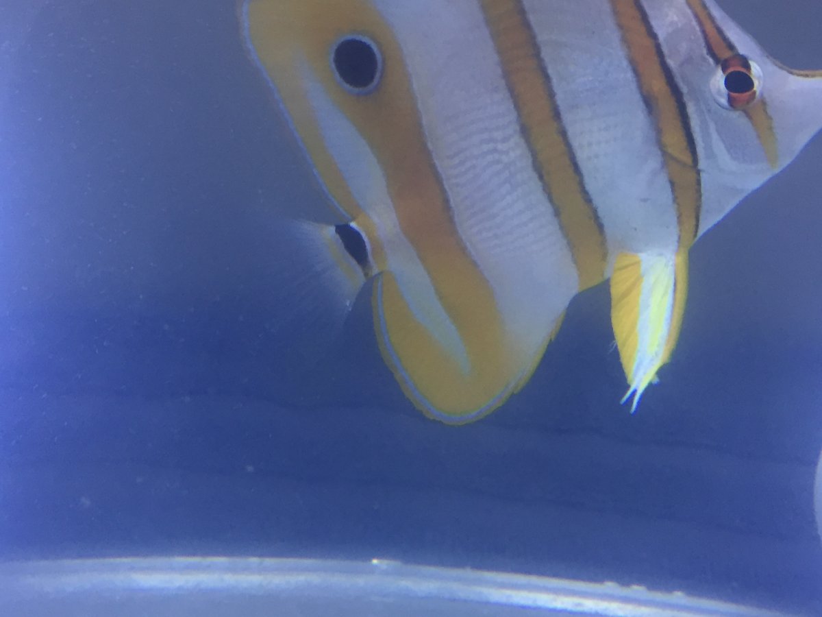 IMG_1877.JPG
