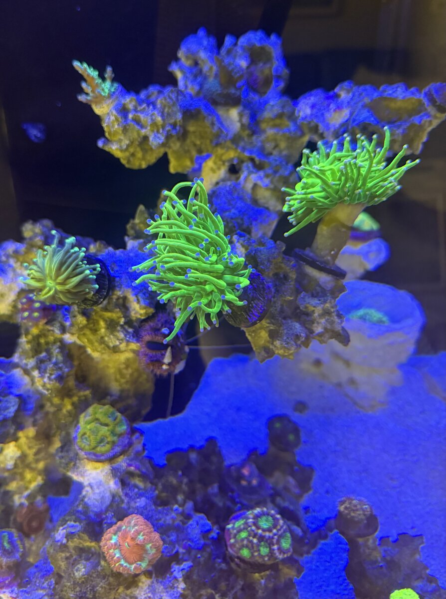 IMG_1893.jpeg