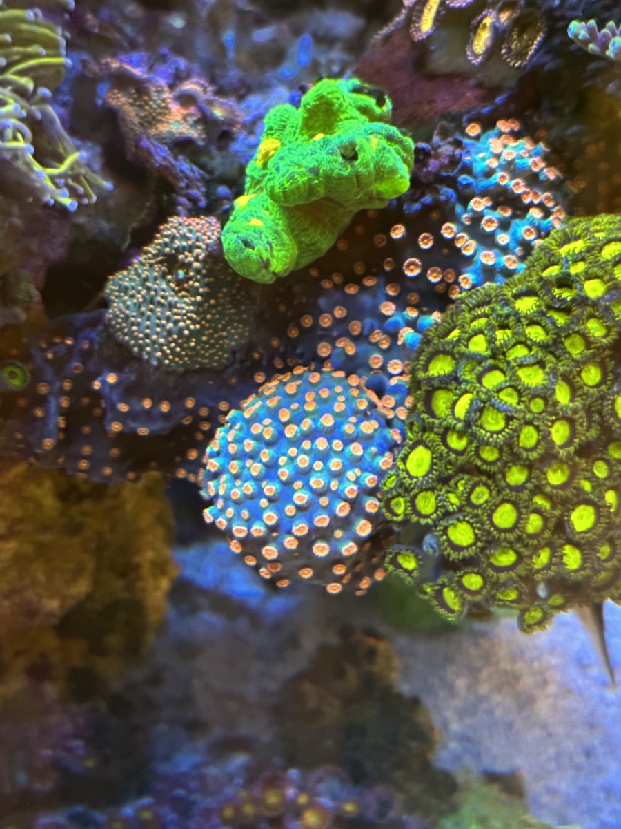 IMG_1903.jpeg