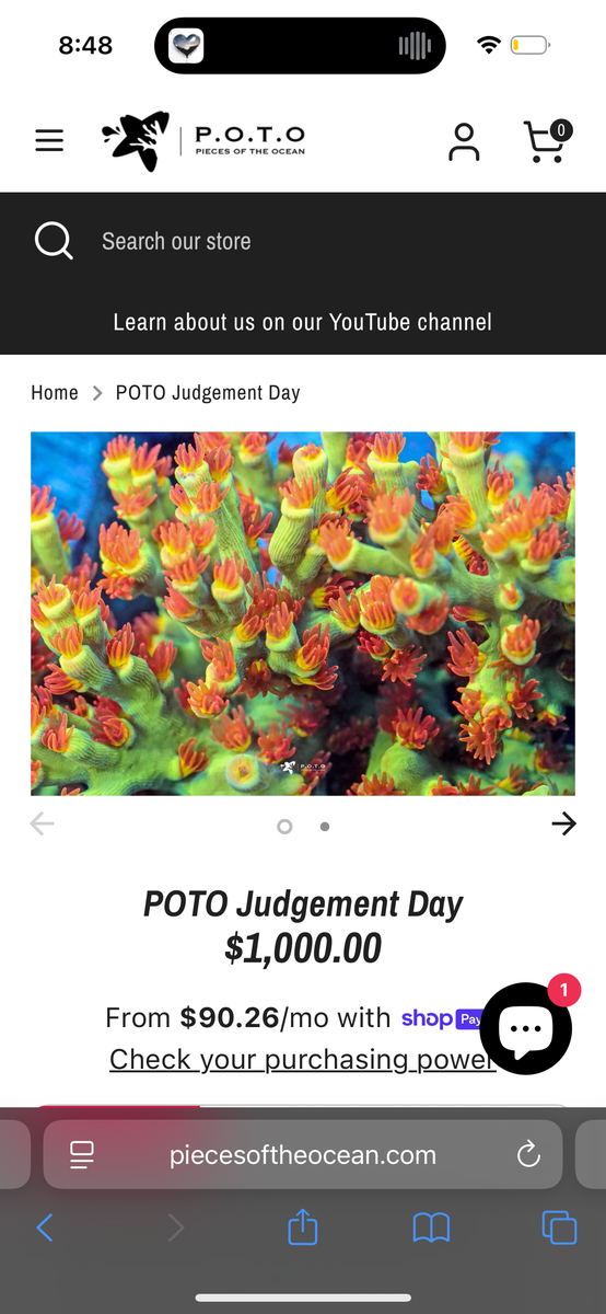 IMG_1912.png