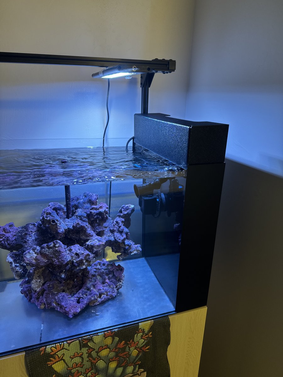 My “Proof of Concept” Aquarium | Reef2Reef