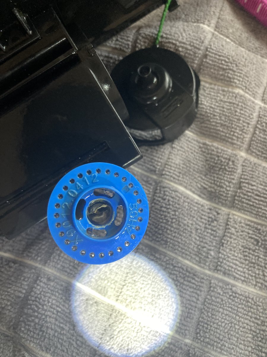 IMG_1927.jpeg