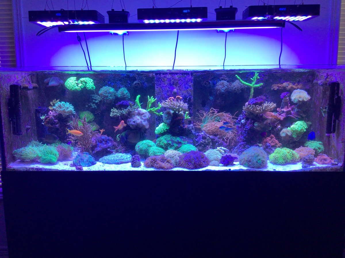 Let's see your caves and arches! | Reef2Reef